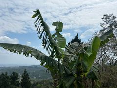 -成都老君山