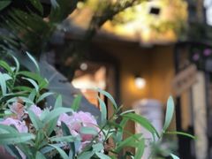 -T80科技文化国际社区-停车场