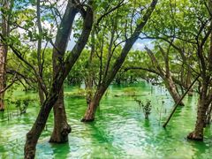 -宝安西湾红树林湿地公园