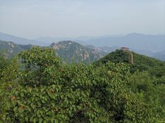 -大岭沟猕猴桃谷风景区
