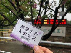-嘉定紫藤园