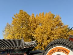 -申德勒加油站西餐厅(日坛路总店)