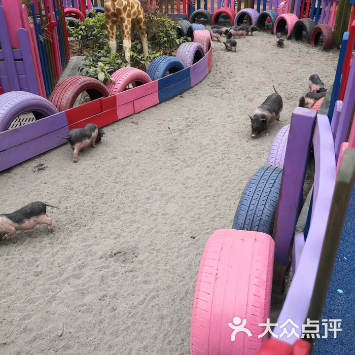 松鼠部落森林假日乐园图片-北京儿童主题乐园-大众点评网