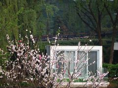 -龙坞茶村