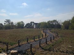 -梁鸿国家湿地公园