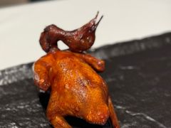 -侨美食家·40年地道粤菜(珠江新城店)