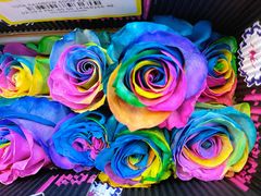 -双季花艺园艺市场(浦东店)
