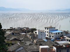 -北岐滩涂
