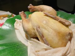 -汤城·料青山