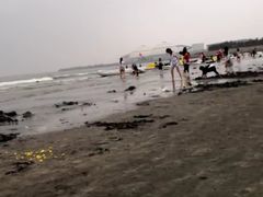 -台山黑沙湾海浴场