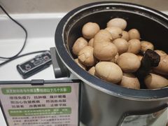 -郑州新郑国际机场-T2航站楼