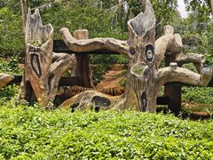 -海南热带野生动植物园