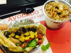 -油梨树 AVOCADO TREE(亮马桥店)