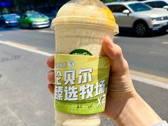 -茉酸奶(春熙路店)