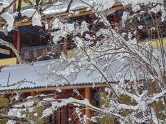 -黄龙山原始森林景区