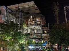 -Rainforest