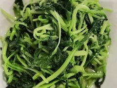 -翠清酒家(万丰路店)