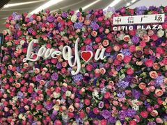 -为什么牛潮汕牛肉火锅(中信广场店)