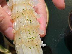 -鮨鳳