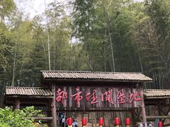 -宁波浙东大竹海景区