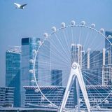 深圳拍照·湾区之光摩天轮打卡机位分享