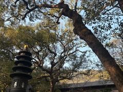 -普陀山风景名胜区-法雨禅寺