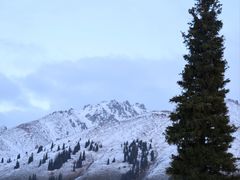 -新疆那拉提国家旅游度假区