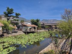 -大理洱源西湖景区