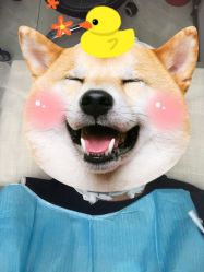 -KS科逆美肤祛痘