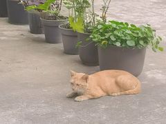 -转山咖啡(松柏社区店)