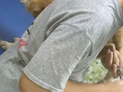-瑞鹏宠物医院·微创内窥镜·骨外科·牙科(翠竹分院)