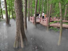 -东湖落雁景区