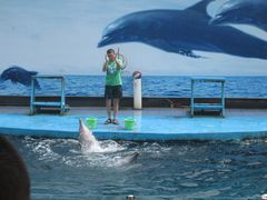 景点-秦皇岛乐岛海洋王国