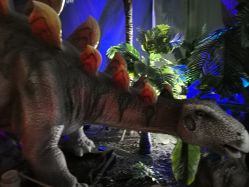 -恐龙探索乐园(磁器口店)