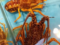 龙虾-渔公码头·九龙湾国际饭店