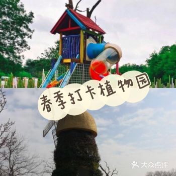 春季遛娃 呼吸新鲜好空气
