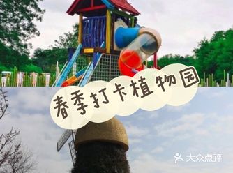 春季遛娃 呼吸新鲜好空气