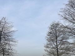 -苏州东太湖生态园