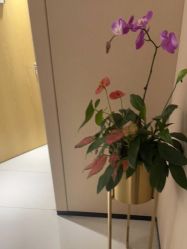 -广东韩妃整形外科医院