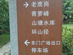 游乐设施-滴水岩森林公园