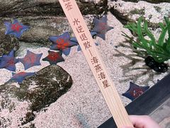 -沈阳海洋探索中心