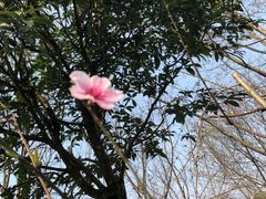-重庆彩云湖湿地公园