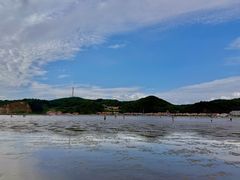 -大鹿岛