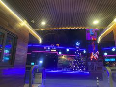 -枫花园汽车电影院(朝阳公园店)