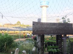-Ohkajhu Organic Farm Sansai