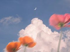 -东天目山风景区