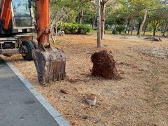 -三亚西岛海洋文化旅游区