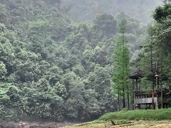 -鼎湖山风景区