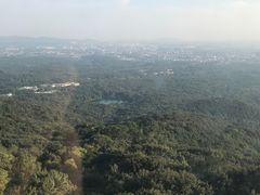 -紫金山索道-售票处