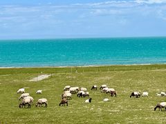 -青海湖国家重点风景名胜区